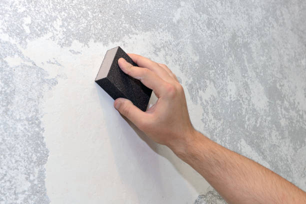 Reliable Yoakum, TX Mold Removal Solutions