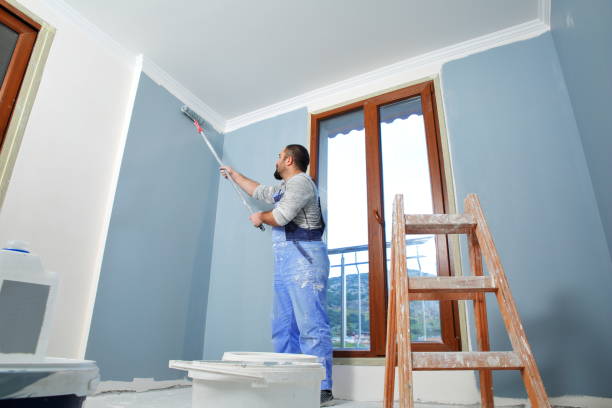 Best Attic Mold Removal  in Yoakum, TX