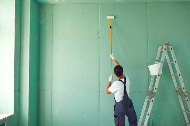Best Mold Damage Restoration  in Yoakum, TX