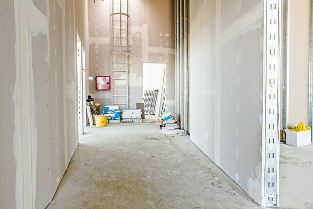 Best Airborne Mold Testing  in Yoakum, TX