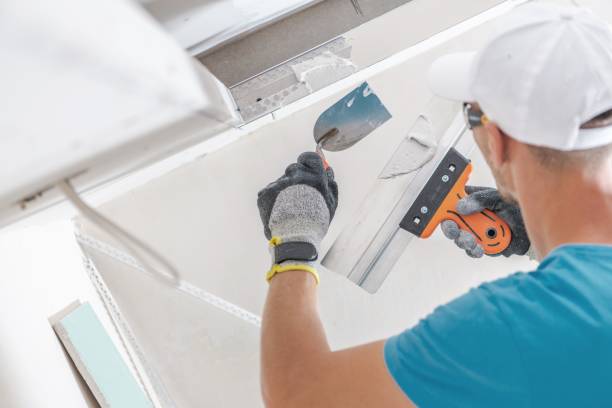 Best Basement Mold Removal  in Yoakum, TX